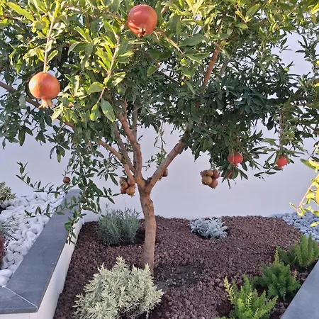Dimora Da Anna Tra Amalfi E Sorrento Appartement